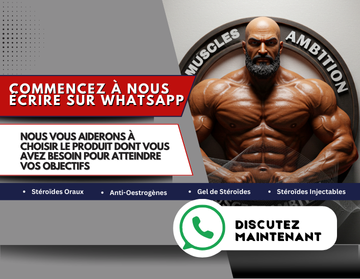 Commencez à nous écrire sur WhatsApp