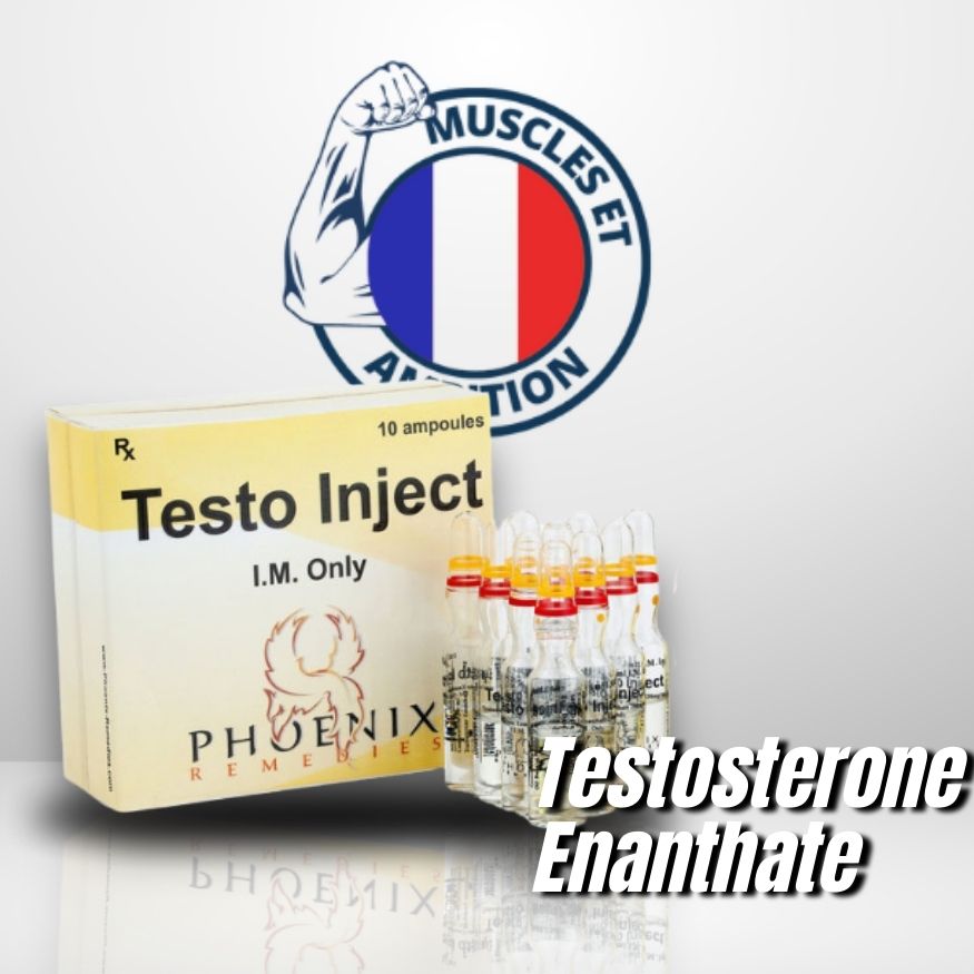 Testo Inject (Amp)