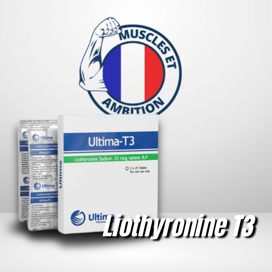 Ultima-T3
