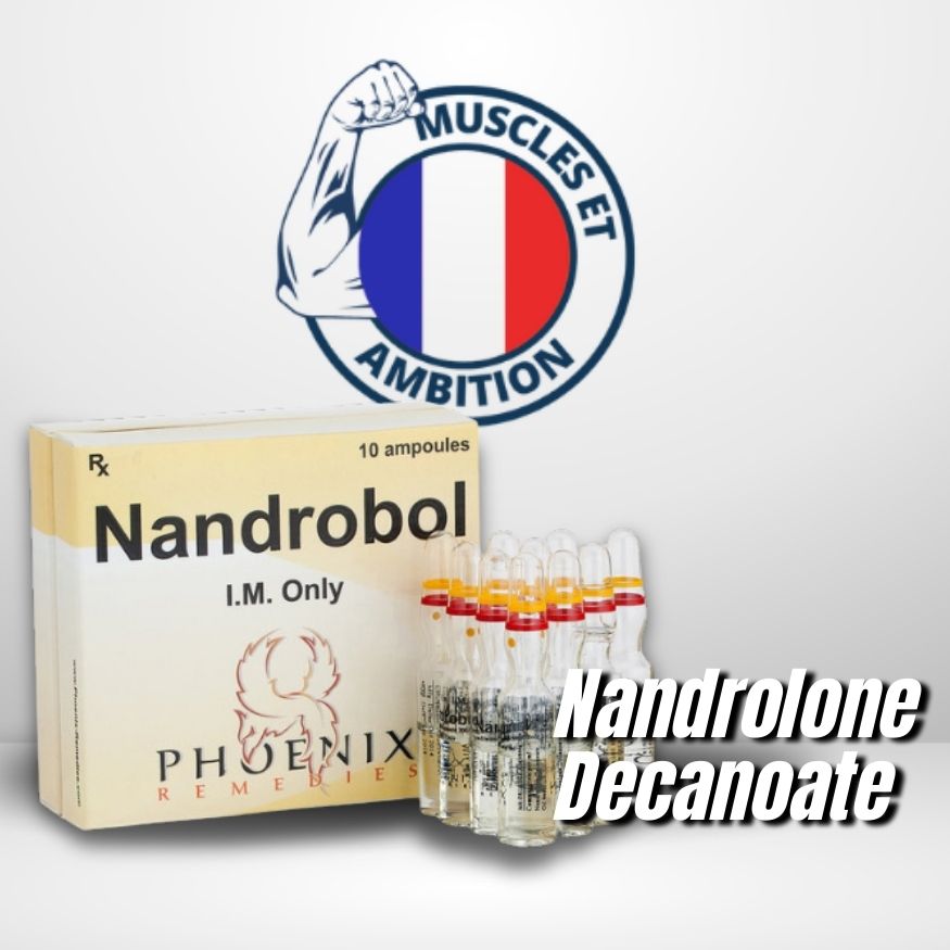 NandroBol (ampoules)