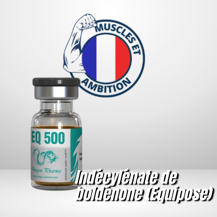 EQ 500