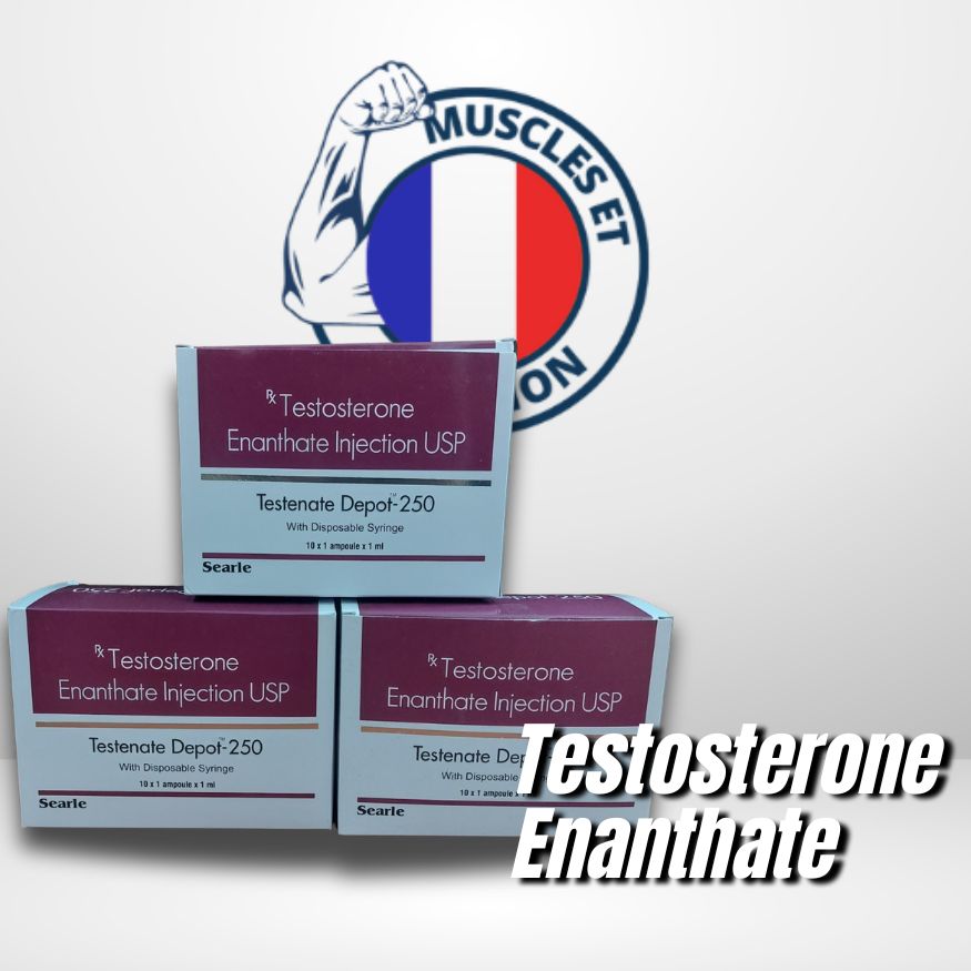 Testoviron-250