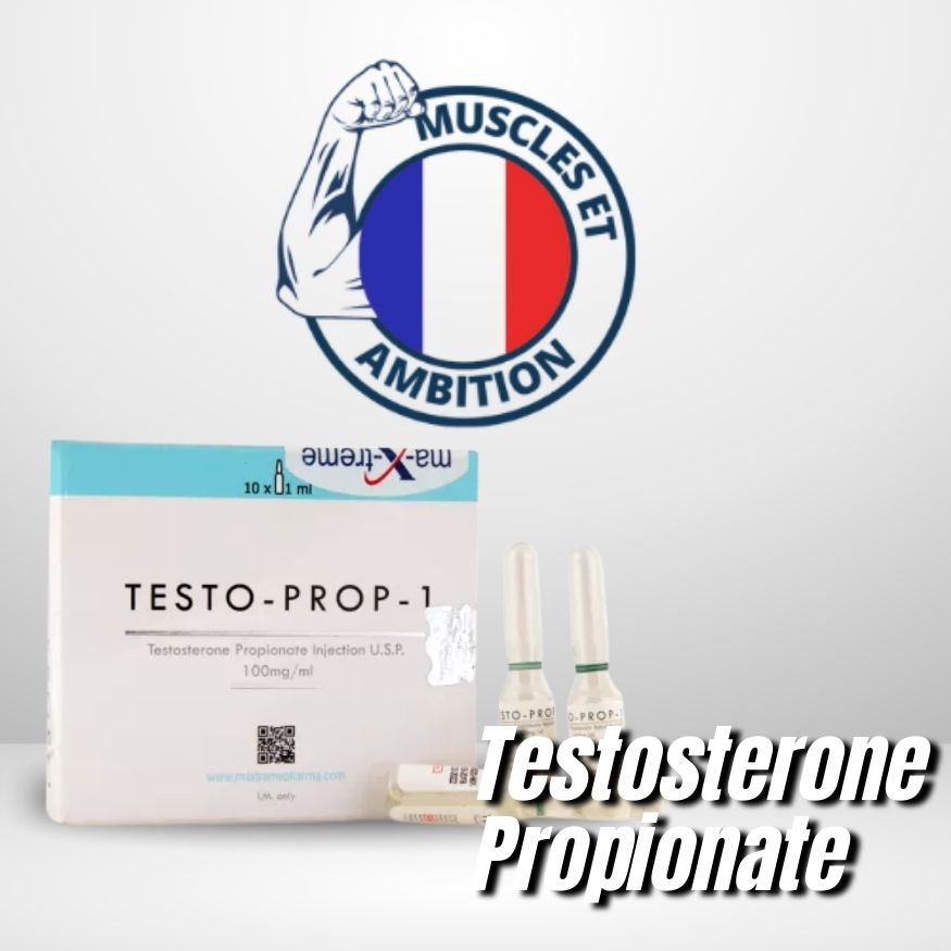 TESTO-PROP-10