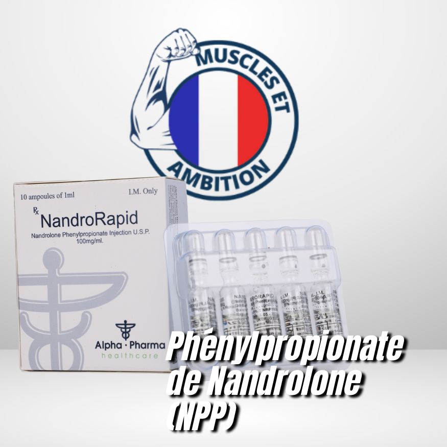 Nandrorapid
