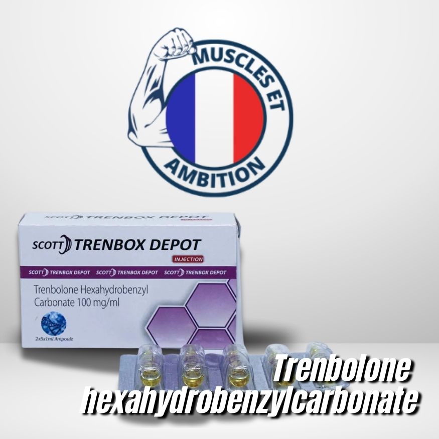 Trenbox Depot