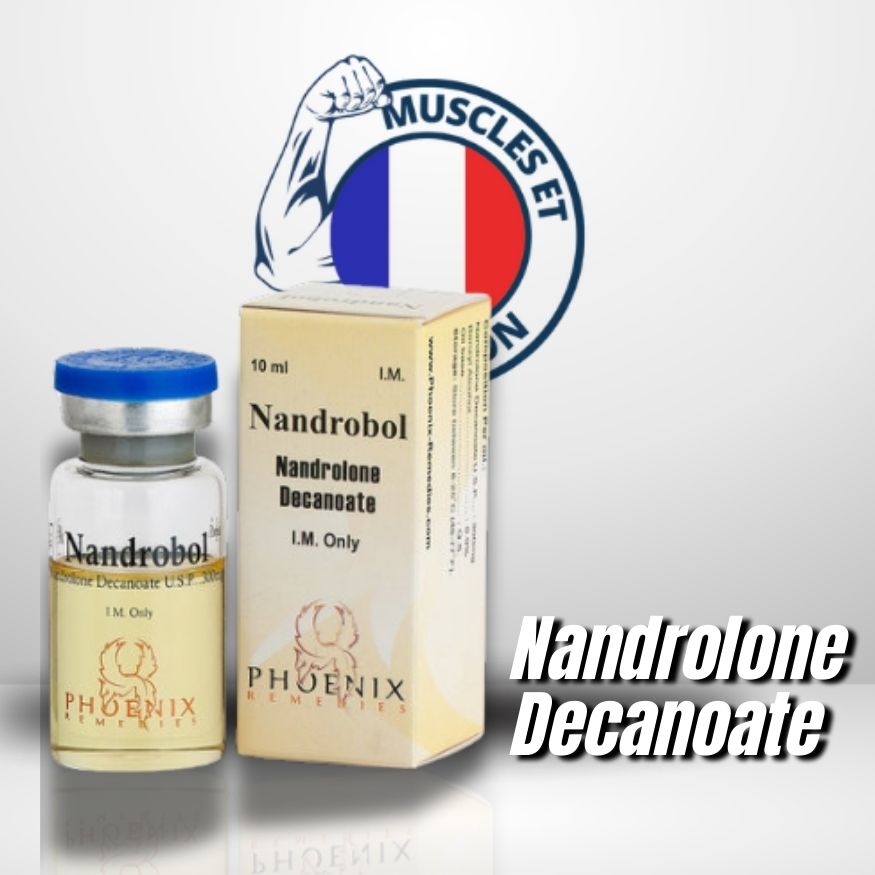 NandroBol