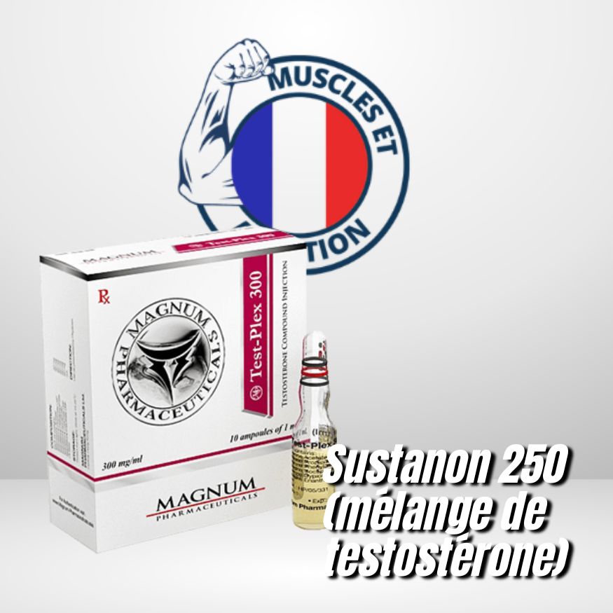 Essai Magnum-Plex 300